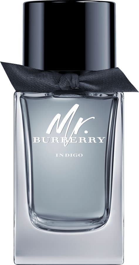 mr burberry toilette 100ml|mr burberry indigo fragrantica.